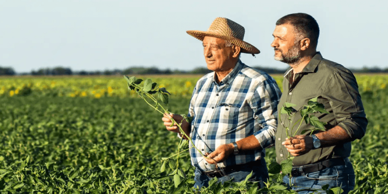 Klims regionale regenerative Landwirtschaft