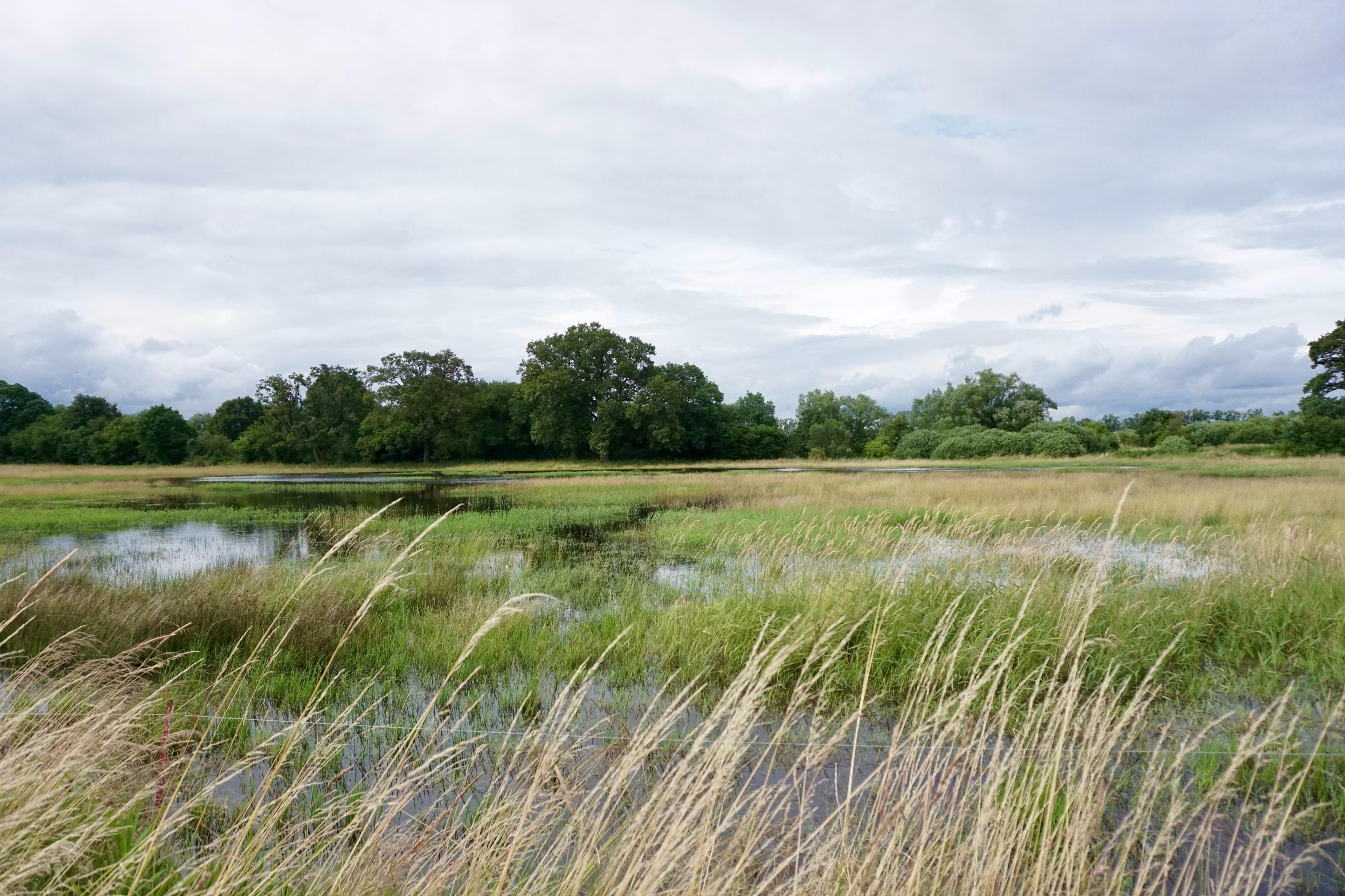 Aecos Polder Projekt