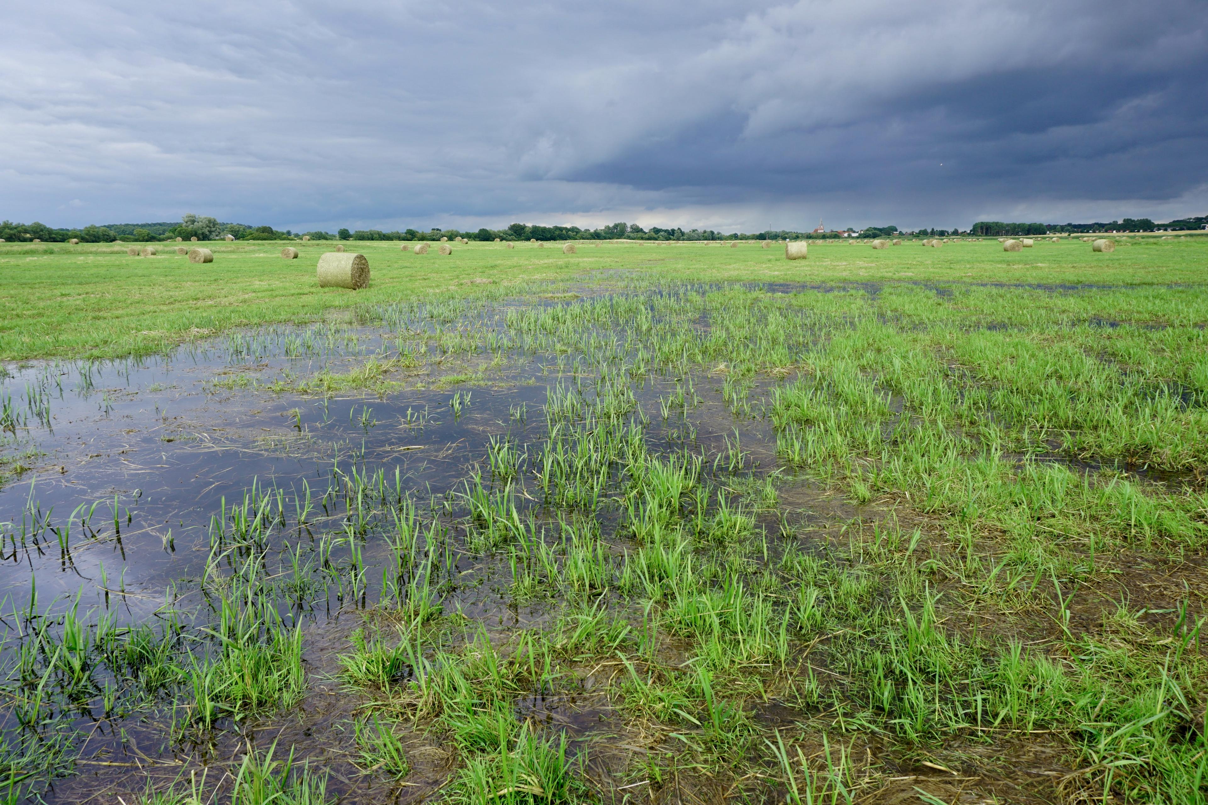 Aecos Polder Projekt