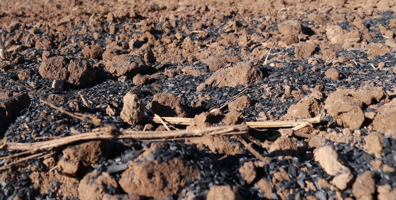 Exomad Green thumbnail 5