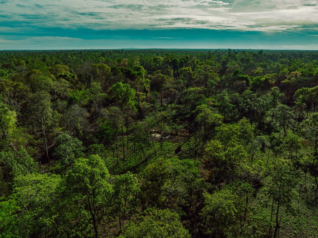 Keo Seima Wildlife Sanctuary thumbnail 3