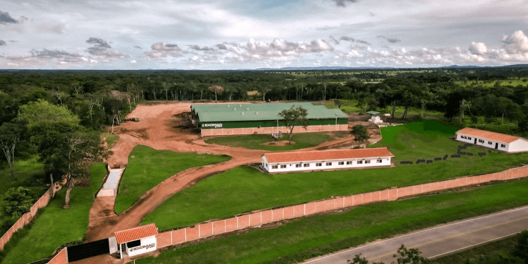 Exomad Green thumbnail 3