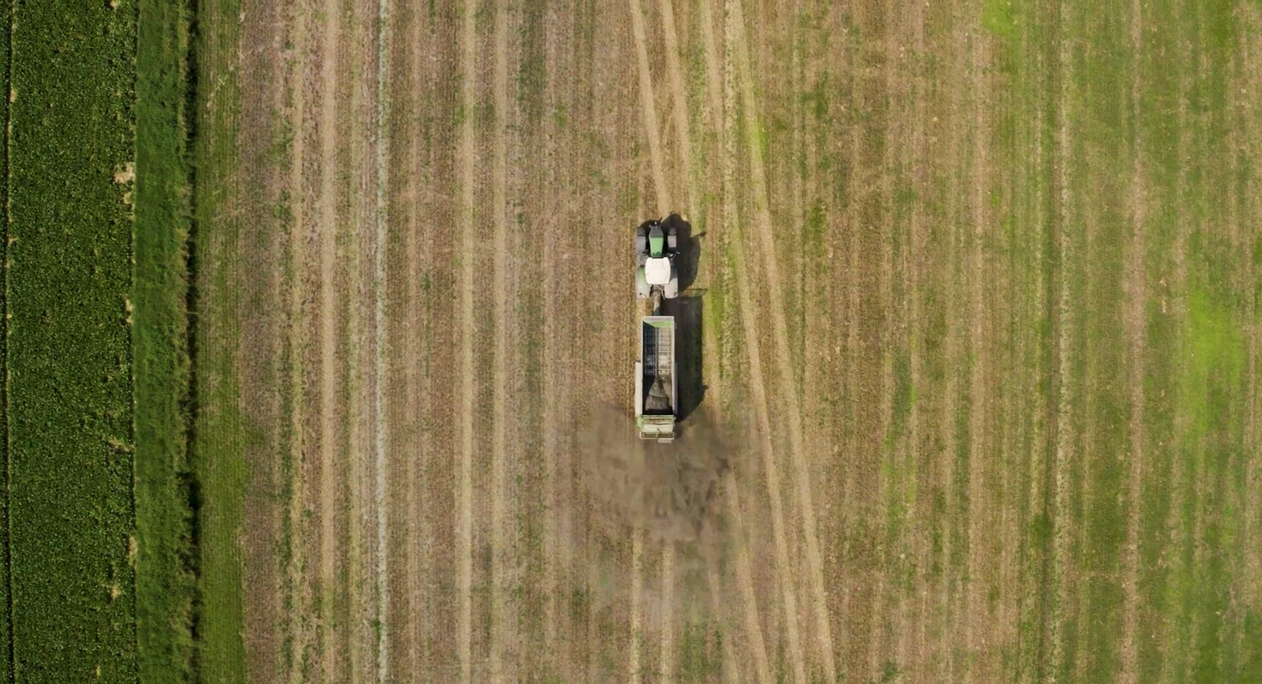 ZeroEx – Enhanced Rock Weathering in Germany